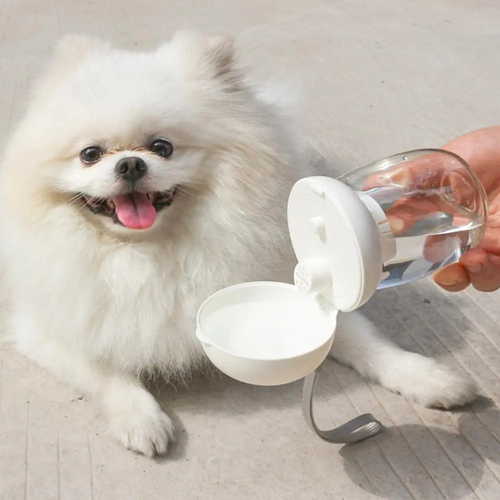 Portable Pet Water Bottle Outdoor Travel Drinking