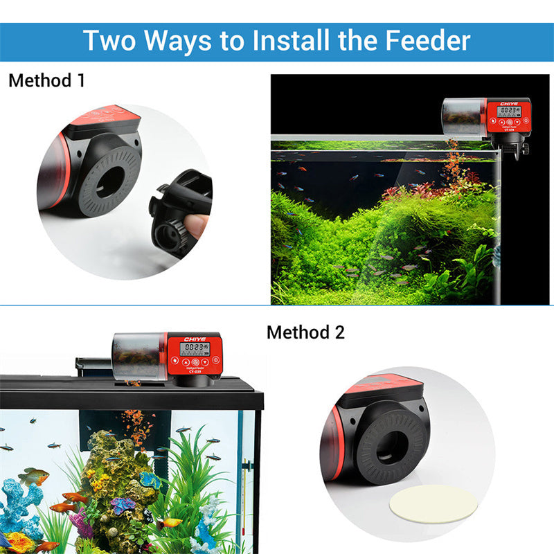 Intelligent Timing Automatic Fish Tank Feeder