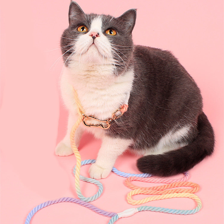 Dog Rainbow Traction Rope Explosion-proof