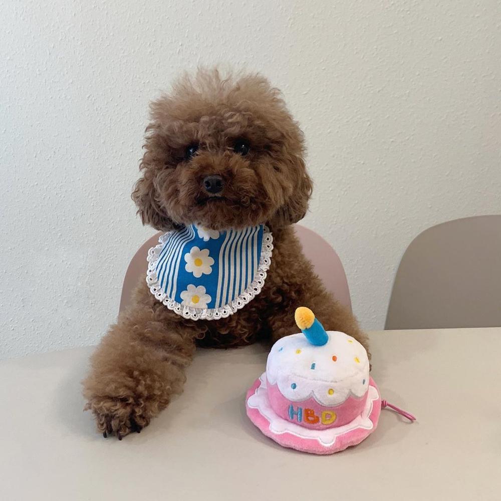 Creative Dog Birthday Hat Plush Toy Chew