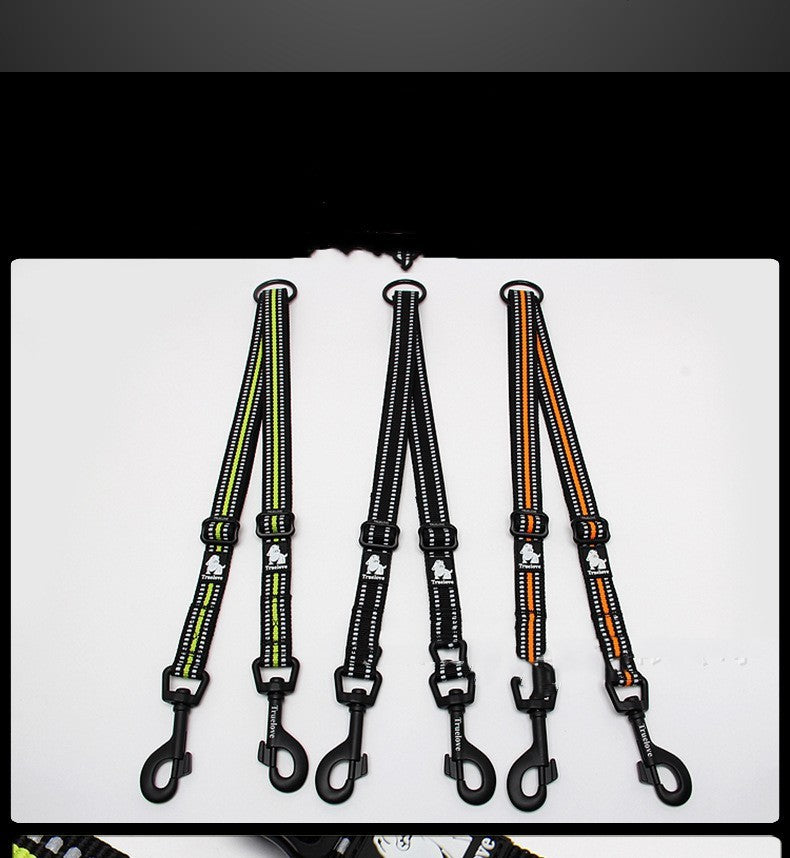 Leash Head Dog Leash Outside