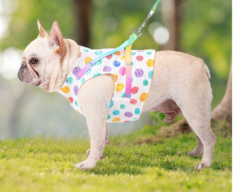 Pet Small Or Medium Sized Dog On A Chested Leash