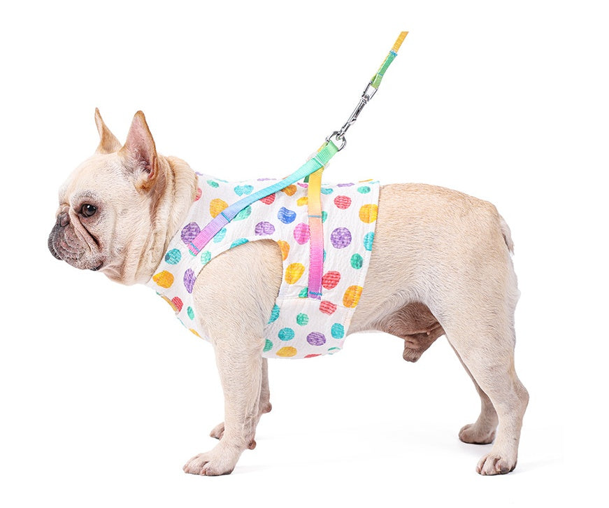 Pet Small Or Medium Sized Dog On A Chested Leash