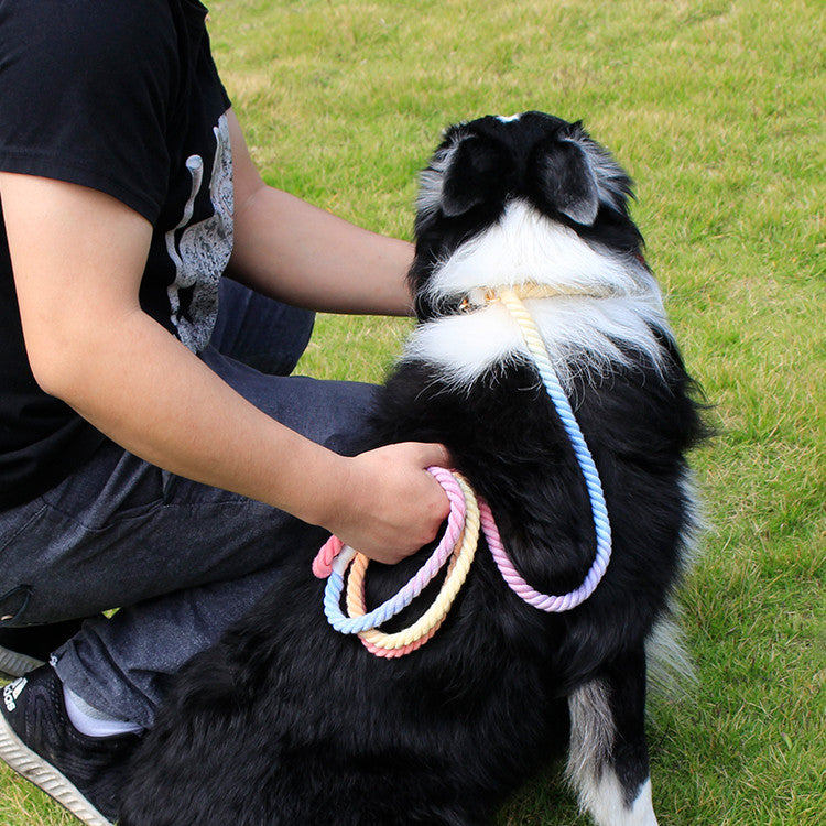 Dog Rainbow Traction Rope Explosion-proof