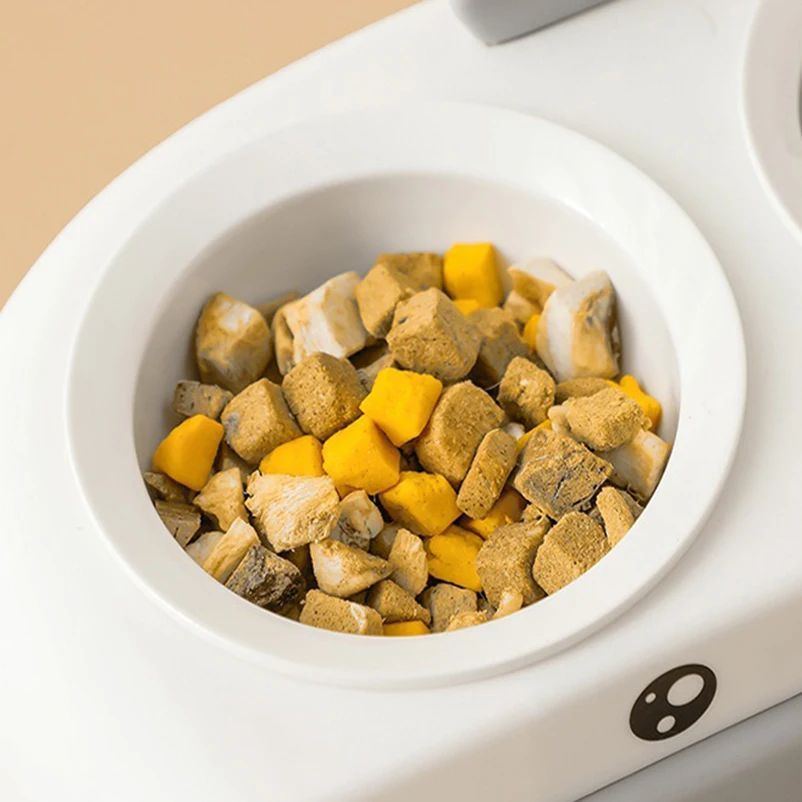 Duck Design Pet Double Bowl Plastic Kitten