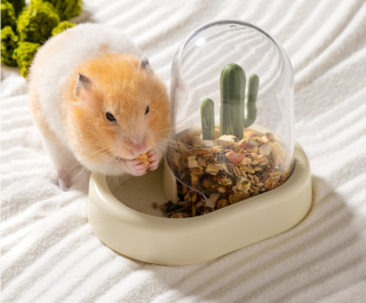 Hamster Cactus Automatic Feeder