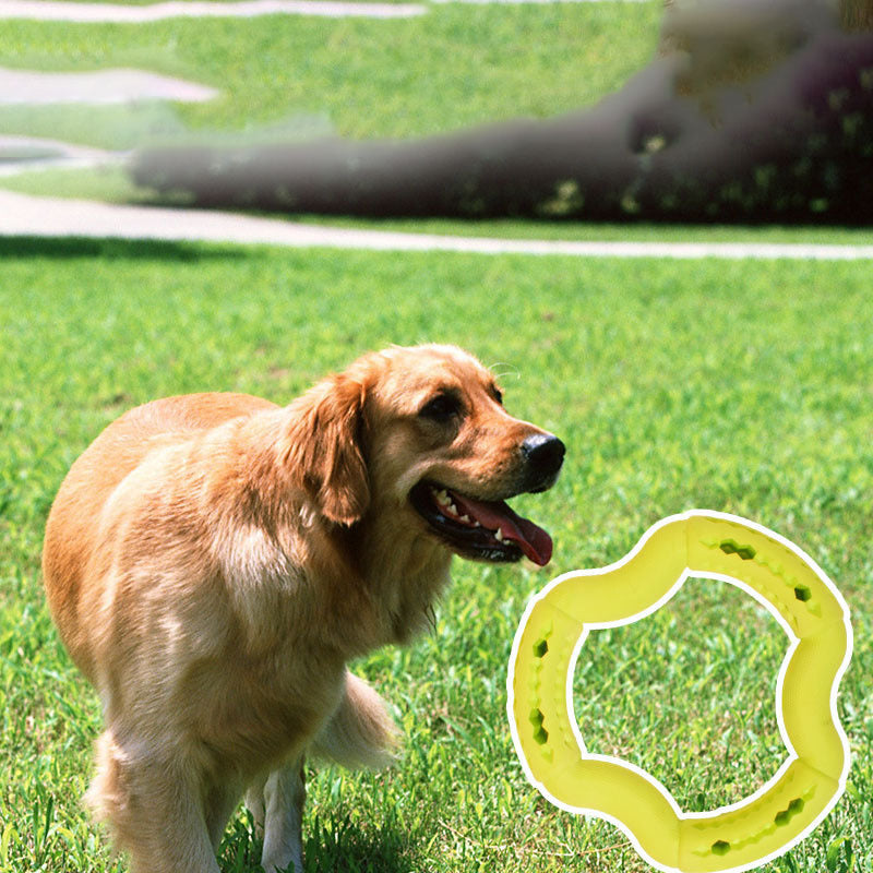 Shaped Dog Chew Toy Durable Cartoon