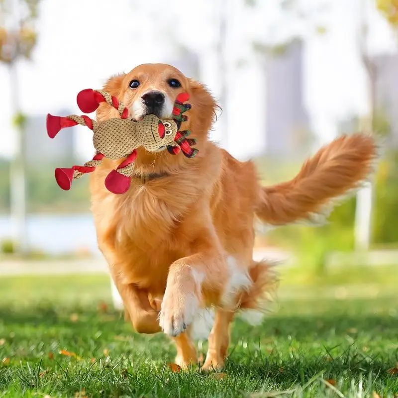 Squeaky Plush Holiday Dog Toys