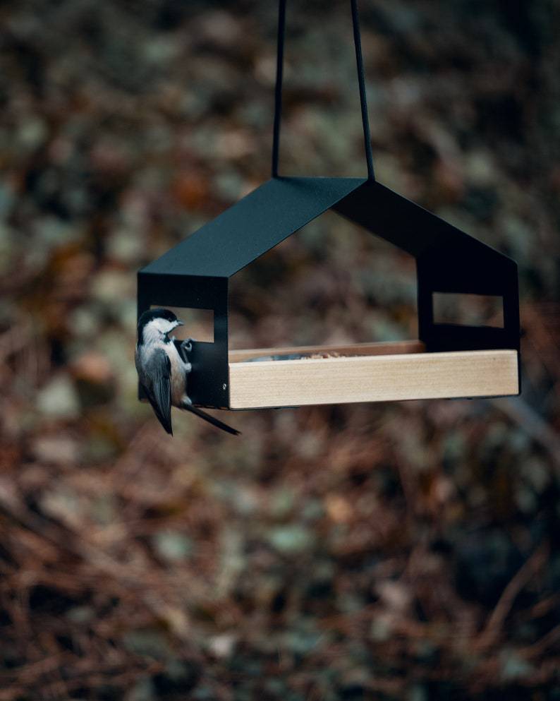 Outdoor Gardening Decoration Hanging Bird Feeder