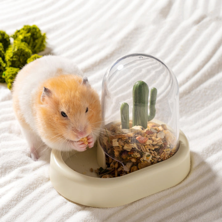 Hamster Cactus Automatic Feeder
